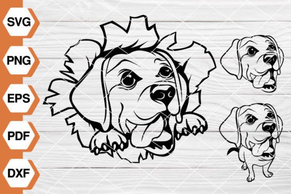 Labrador Retriever Svg EP-135